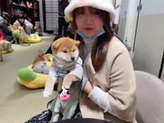 -逗柴咖啡屋·狗咖猫咖宠物桌游