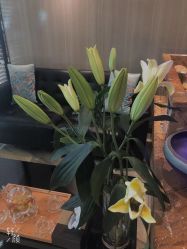 -永琪美容美发全国直营连锁