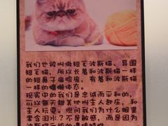-猫咪博物馆(顶澳仔猫街店)