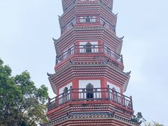 -中山公园(石岐街道)