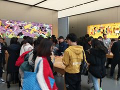 -Apple零售店(成都太古里店)