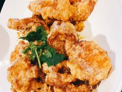 -食为先(Shark Fin)