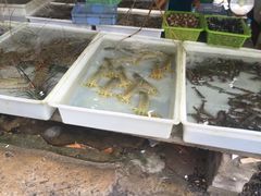 皮皮虾-拉威海鲜市场