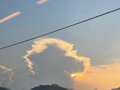 -温州南站