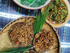 -昆虫窝子·特色云南菜(拓东路总店)