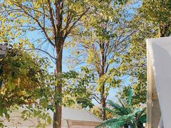 -安德鲁户外烧烤帐篷营地(马泉营店)