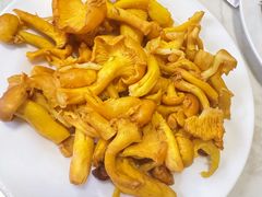 -菌之家·专业纯野生菌火锅·特色炒菌