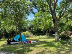 -上海海湾国家森林公园