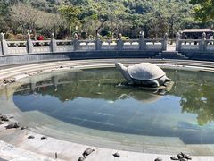 -顺峰山公园