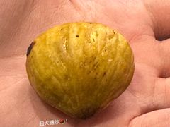 -西归浦每天偶来市场
