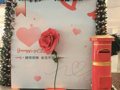 -光启城时尚购物中心