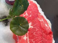 -南门四季铜锅涮肉(大屯·北苑店)