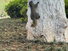 -昆明动物园
