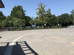 -大兴滨河森林公园