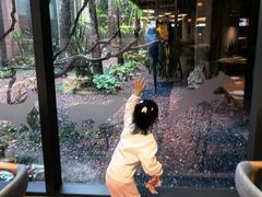 -麒麟中餐厅·经典粤菜·地道菜式老字号(广州长隆酒店)