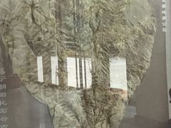 -房山世界地质公园博物馆