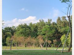 -中山市树木园