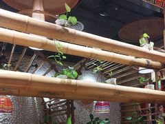 -椰夫人·养生椰子鸡(金沙洲永旺店)