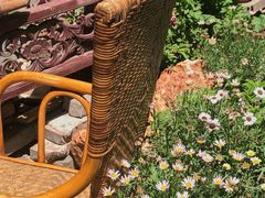 -斯多格书乡(北京大学畅春园店)