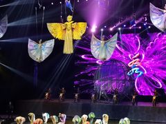 -水秀国际大剧院