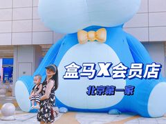 -盒马X会员店(王府井奥莱UP TOWN店)