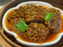 -点都德·毕德寮