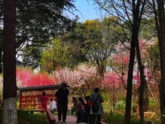 -凤城河风景区