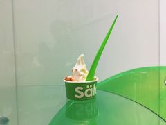 冻酸奶-Salud撒露欧洲冻酸奶(蓝色港湾店)