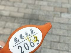 -热带风暴水上乐园