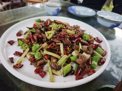 -青城甲(青城山店)
