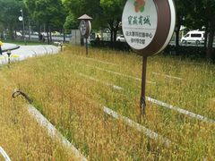 -证大喜玛拉雅中心