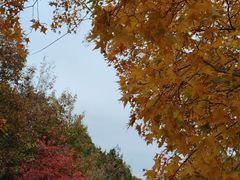 -北京西山国家森林公园