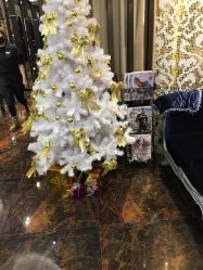 -八佰伴8008星级形象店