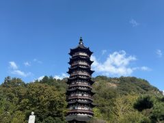 -大塘金香草谷