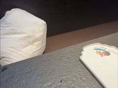 -高家烧鸽子烧烤店63年