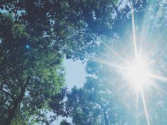 -杭州城北体育公园