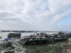 -硇洲岛旅游区