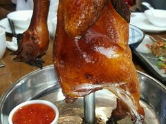 -广东道至正餐厅(区庄店)