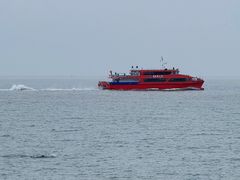 -野狸岛