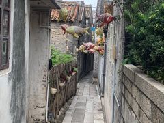 -滴水岩森林公园