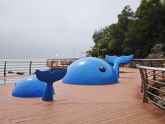 -东澳岛