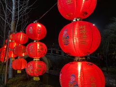 -锦江乐园舞狸花花游园会(夜场专享)