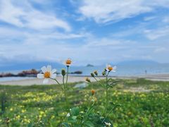 -西澳岛