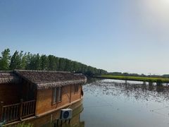 -池杉湖湿地公园