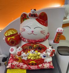 -洗脸熊·洗脸吧