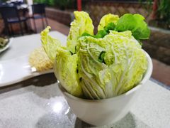 -墨脱石锅椰子鸡•香草鸭•东山羊(大东海店)