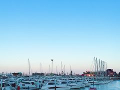 -东港音乐喷泉广场