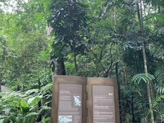 -武吉知马自然保护区