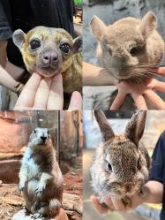 -Zoolung Zoolung动物主题公园(海信广场店)