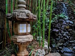 -翠湖里(翠湖南路店)